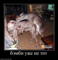 Дурной пример заразителен