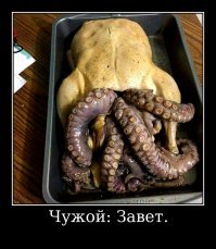 Монстры кулинаров от бога