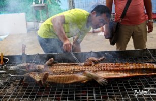 Сюрприз на Рождество: пара из Мельбурна обнаружила в саду метрового крокодила