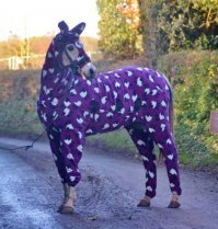 Сибирские морозы: порода лошадей, выдерживающая температуру в -60° C