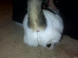 Смешные комментарии и высказывания из социальных сетей