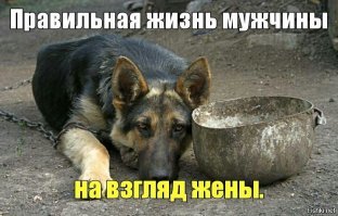 Об ответственности мужчин