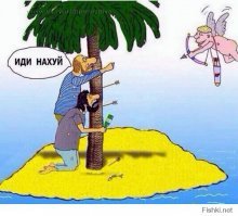 Польский моряк с кошкой 7 месяцев дрейфовал в Индийском океане