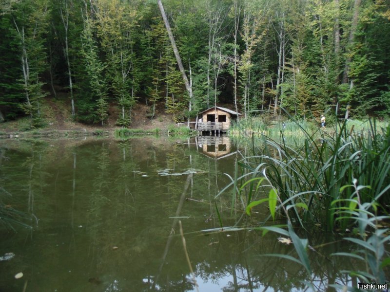 Добавлю немного из своего альбома 2013 год.