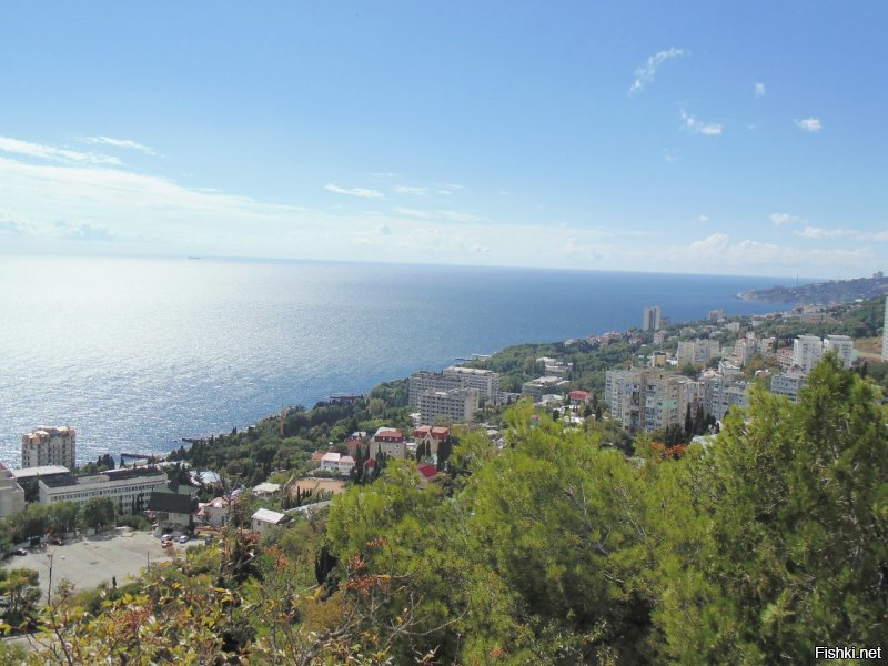 Добавлю немного из своего альбома 2013 год.