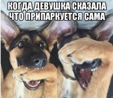 Подборка автомобильных приколов