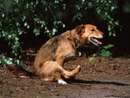 "Не сфоткал - не было!" 35 невероятных вещей, заснятых на камеру