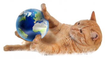 А вот ток-электричесво отрубят(ну бывает же) и..? (Наша Обитель)глобус скатится с места установки и попадет в лапы котам, жаждущим развлечений? КОЩУНСТВО! :)