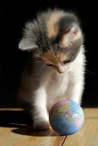 А вот ток-электричесво отрубят(ну бывает же) и..? (Наша Обитель)глобус скатится с места установки и попадет в лапы котам, жаждущим развлечений? КОЩУНСТВО! :)