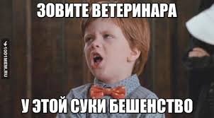 Владимир Путин приказал: террористов в плен не брать