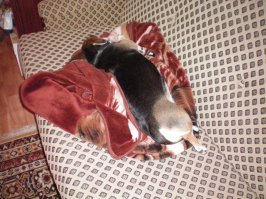 Моя мелкая прямо фотомодель по спанью!:) Особо любит как принцесса на горошине: повыше и помягче. Не могу даже выбрать какую фотку вставить... Ай, выставлю все.