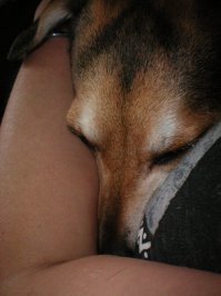 Моя мелкая прямо фотомодель по спанью!:) Особо любит как принцесса на горошине: повыше и помягче. Не могу даже выбрать какую фотку вставить... Ай, выставлю все.