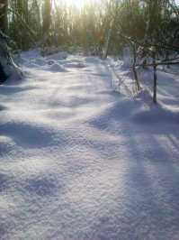 55 «ЛЕДЯНЫХ» фото, которые доказывают, что природа — лучший художник!