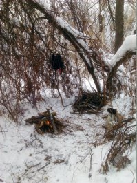 55 «ЛЕДЯНЫХ» фото, которые доказывают, что природа — лучший художник!