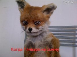 Картинки с надписями для настроения