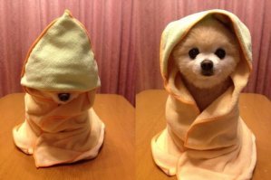 С Новым Годом!