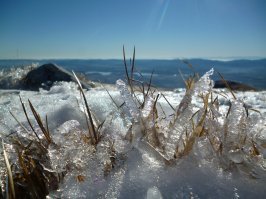 Вот что я застрелил в понедельник :)