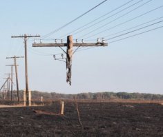 Это другой столб. Но действительно, похож на тот сгоревший столб.