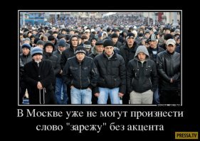 Смешные картинки с надписями