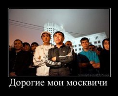 Смешные картинки с надписями