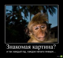 Смешные картинки с надписями