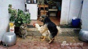 С наступающим 2018 годом!