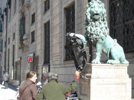 У наших местных львов в Мюнхене по дороге на Одеонсплатц, тоже носопырки блестят. Говорят приносит удачу.