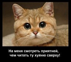 Как президенты встретят Новый год