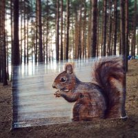 вот так выпьешь малость, пойдёшь в лес прогуляться, и встретишь такую белочку. всё, сразу трезвенником до конца жизни станешь