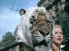 Людмила Касаткина и Пурш "Укротительница тигров".
Маргарита Назарова и Пурш "Полосатый рейс".