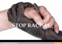 Алкоголь усугубляет расизм и гомофобию