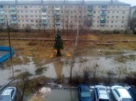 Друзья, если кто увидит в лесу 12 месяцев, бухающих у костра, скажите, чтобы декабрю больше не наливали...