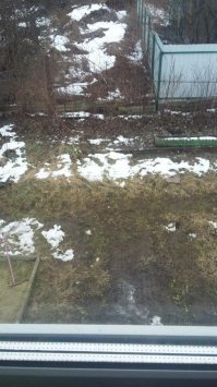 Владимир, 31 дек 2017. 14:00