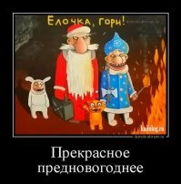 Приключения главной новогодней елки