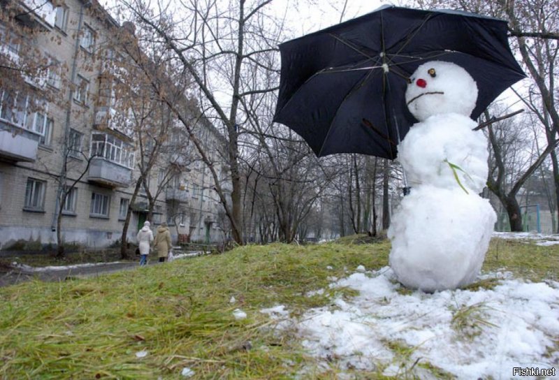 А в Гадюкино......