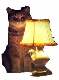 Как я стала работать няней у эскортницы