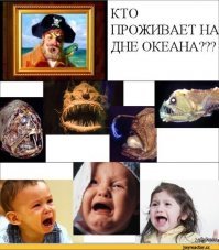Странные обитатели моря от мурманского моряка