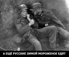 Ниагарский водопад замерз и стал похож на Нарнию
