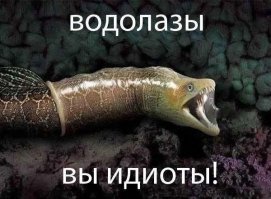 Странные обитатели моря от мурманского моряка