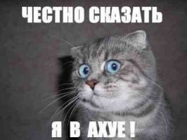 <span style='color:gray'>[мат]</span> как, КАК можно было позариться на ЭТО?!