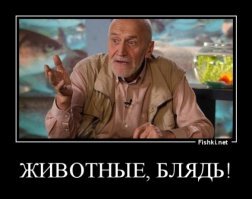 Муж Санты. Правдивая история мистера и мистера Клаус