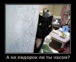 Смешные и пугающие комментарии из соцсетей