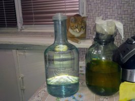 Я вот сейчас в гости собираюсь, будем потреблять хреновушечку и пшеничную...