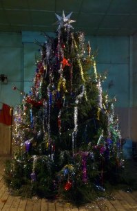 в дк за ночь отпилили макушку у елки (
пришлось так ставить