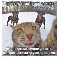 Фотоподборка