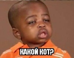 Мужчина стойко выдержал дурацкую съемку своей жены, делающей снежного ангела на ковре