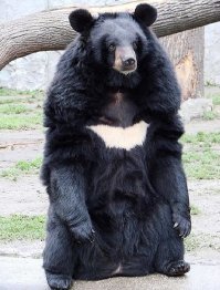 Кому салфетка, а мне больше Batman напомнило.