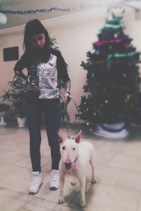 Питбуль с реальным сердечком на носу))