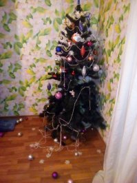 "Один дома"  )))