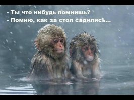 Смешные картинки